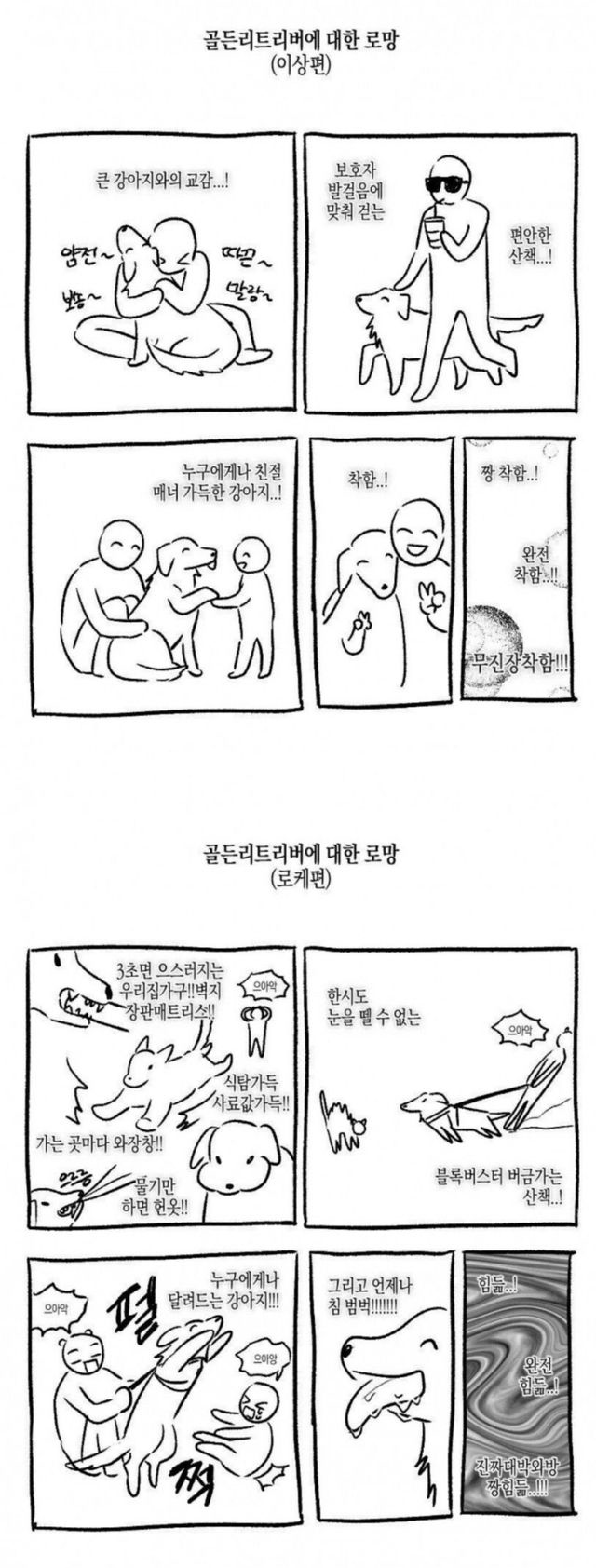 골든.jpg